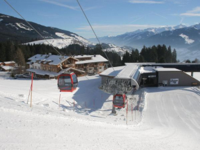 Dream Panorama Chalet TOP10 right in the ski